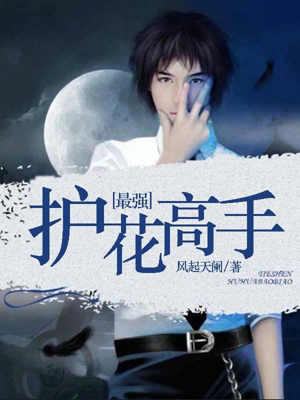 最强护花高手叶龙全文阅读
